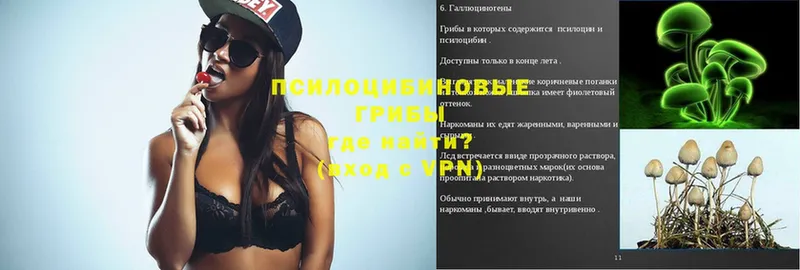 Псилоцибиновые грибы Psilocybe  omg вход  Ишимбай 